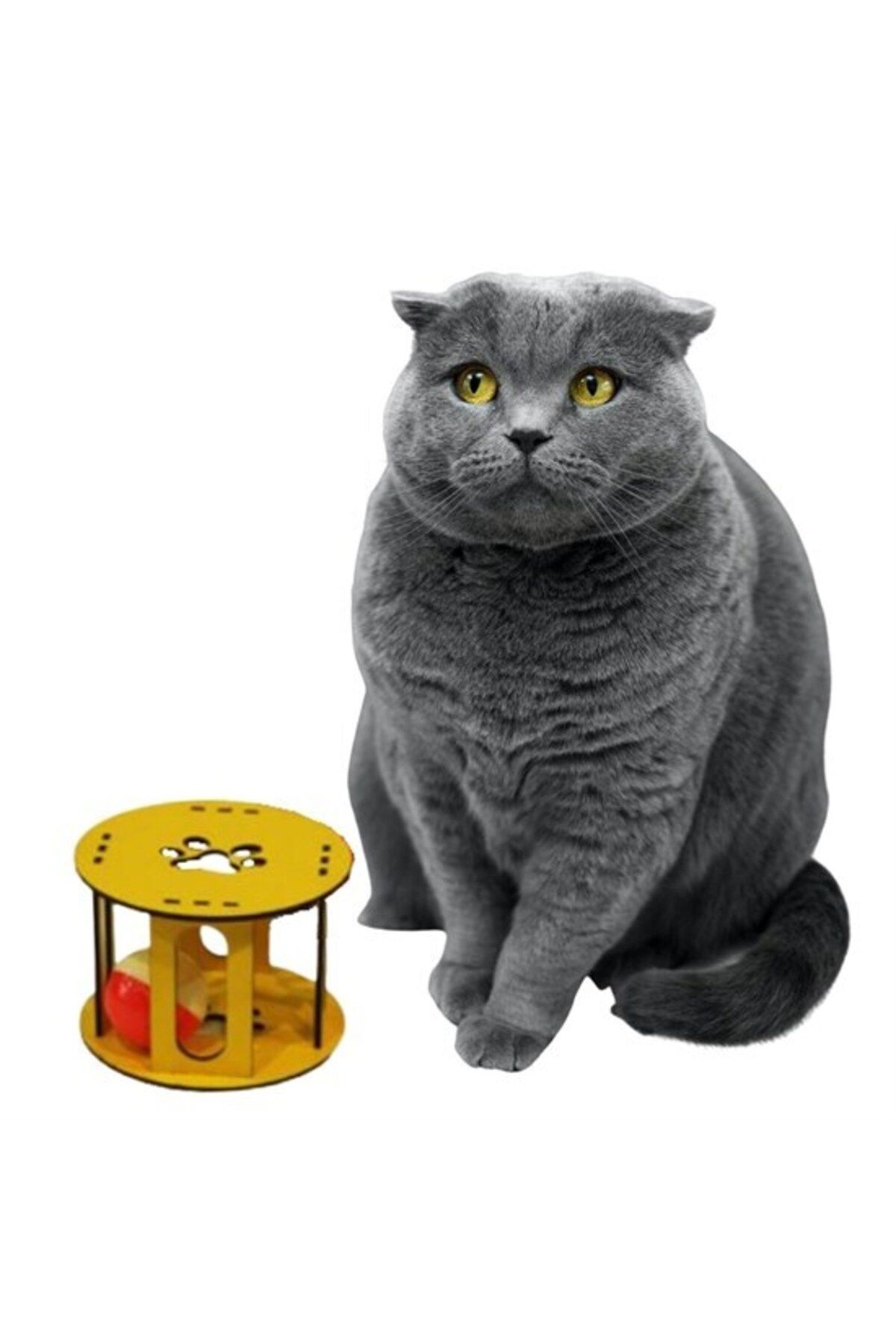 Emperium Ahşap Kafes Renkli Toplu Kedi Patisi Desenli Sesli Kedi Oyuncağı (5122)