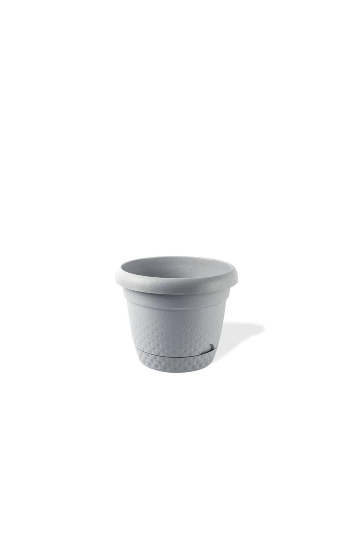 Omnipazar KRS-342 Dekoratif İnci Bitki Çiçek Saksı Takımı 2.2 Litre No 2