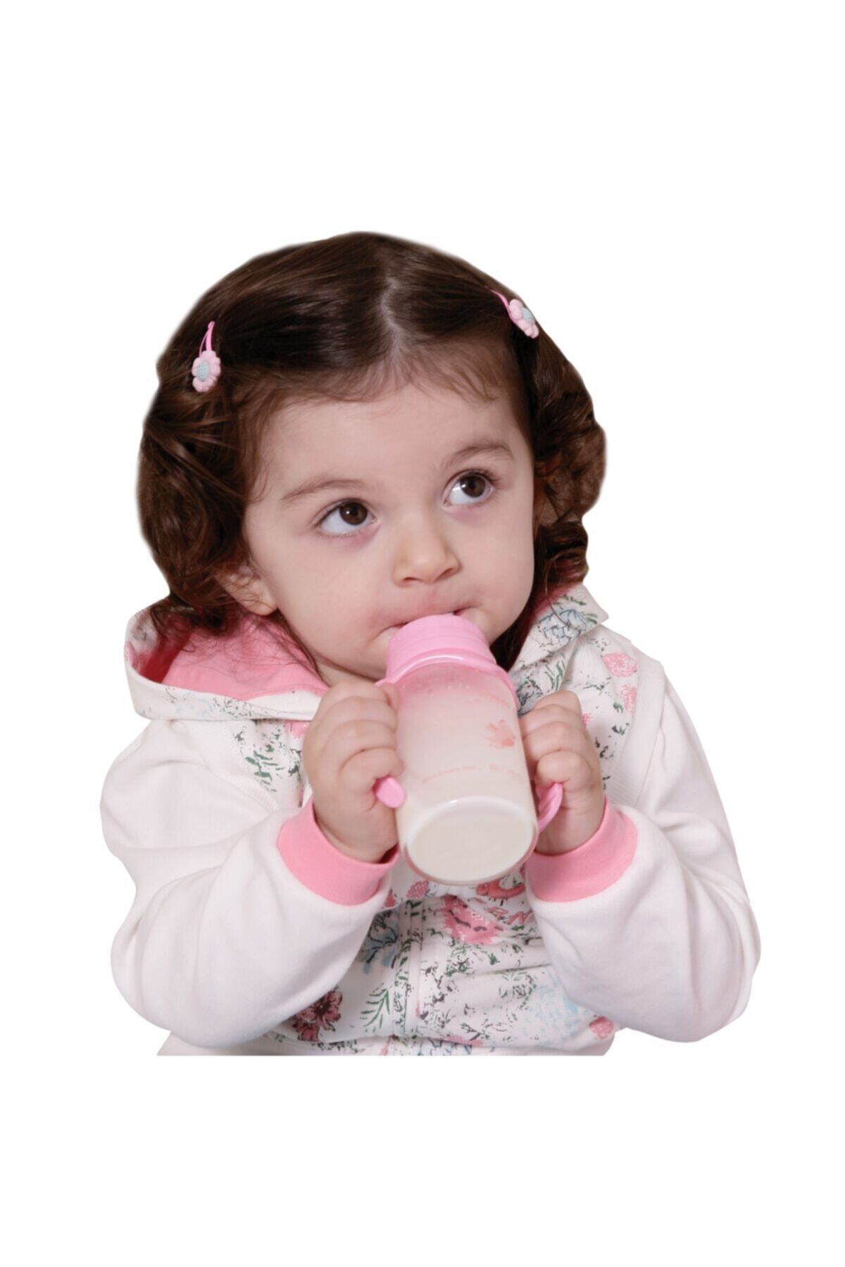 Genel Markalar Isıya Dayanıklı Cam Biberon Seti, Fırça ve Emzik ile 5'li Bebek Seti, Pembe fotoğrafı 3 (önizleme)