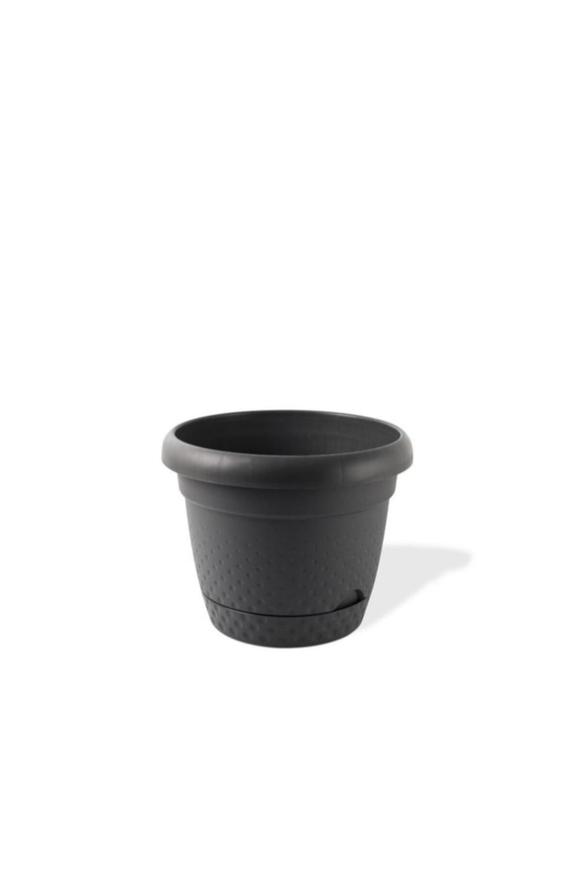 Omnipazar KRS-344 Dekoratif İnci Bitki Çiçek Saksı Takımı 8.8 Litre No 4