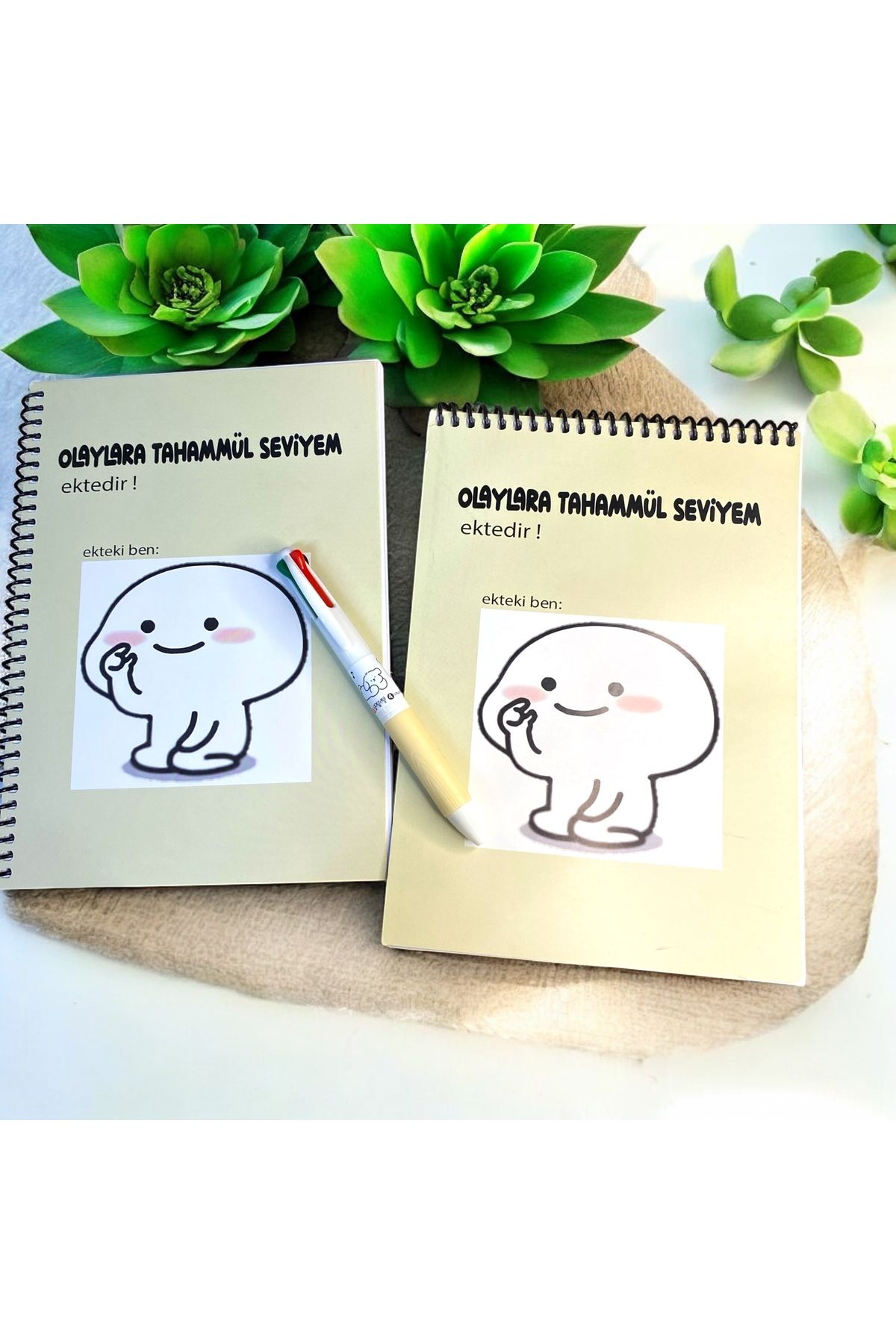 DKY OLAYLARA TAHAMMÜL SEVİYEM EKTEDİR İKİLİ DEFTER KALEM SETİ