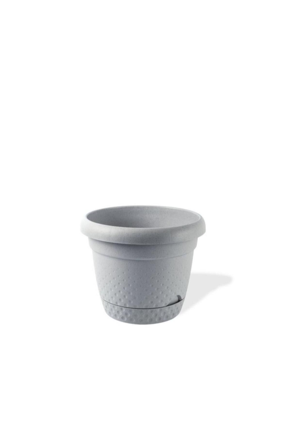 Omnipazar KRS-344 Dekoratif İnci Bitki Çiçek Saksı Takımı 8.8 Litre No 4