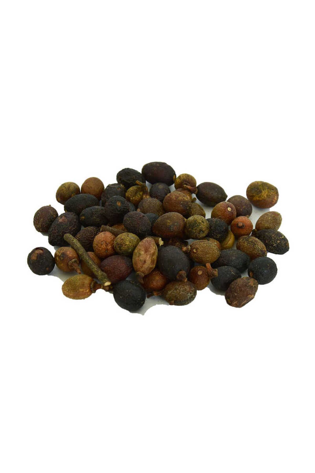 TimeStart Defne Tohumu 100 Gr Paket