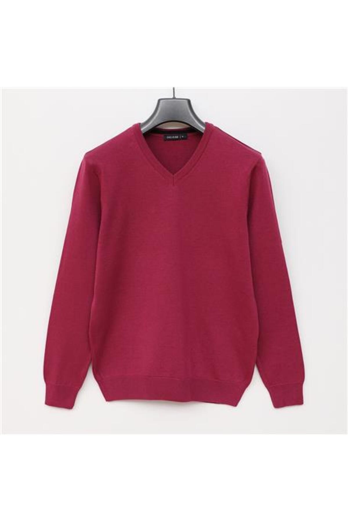 Shop58 Erkek Uzun Kol V Yaka Triko Kazak - 180537 - Açık Mor