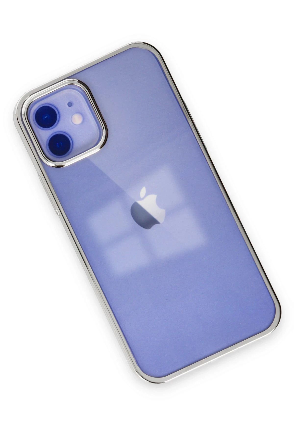 NewFace iPhone 12 Kılıf Element Silikon - Gümüş SVLRS