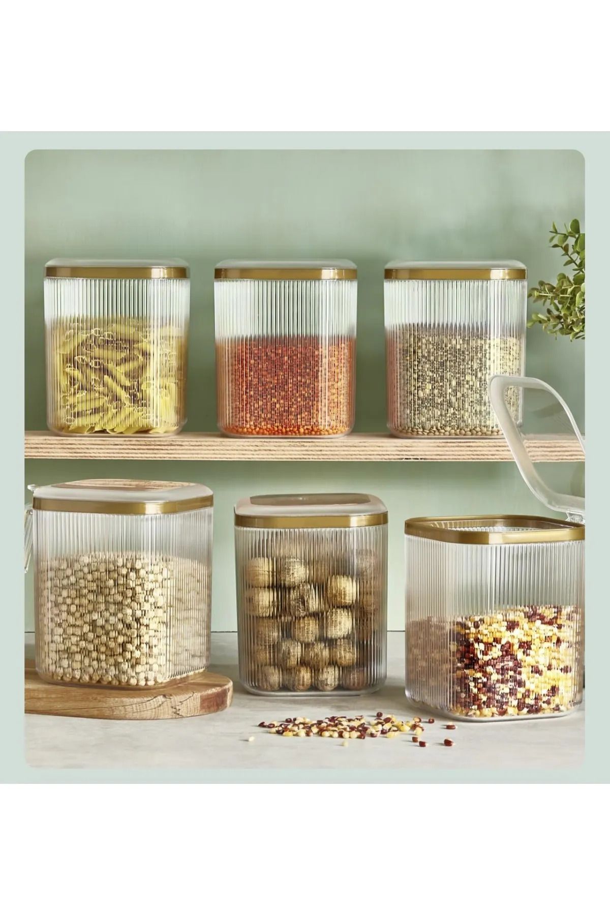 Shop58 Erzak Kabı 2,5 Lt Saklama Kabı Royaleks-LV-297
