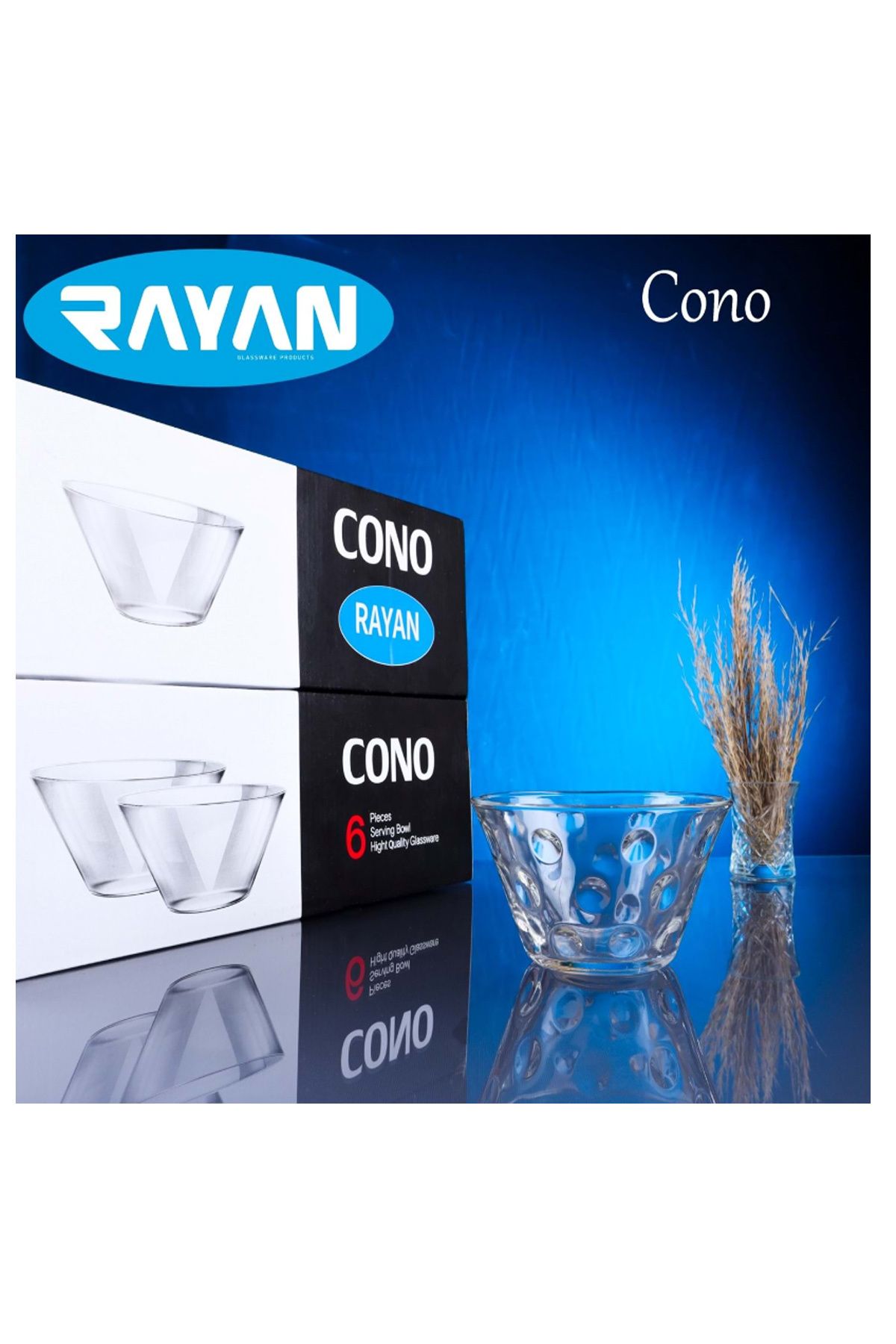 Shop58 Rayan Cono 6'lı Büyük Cam Kase