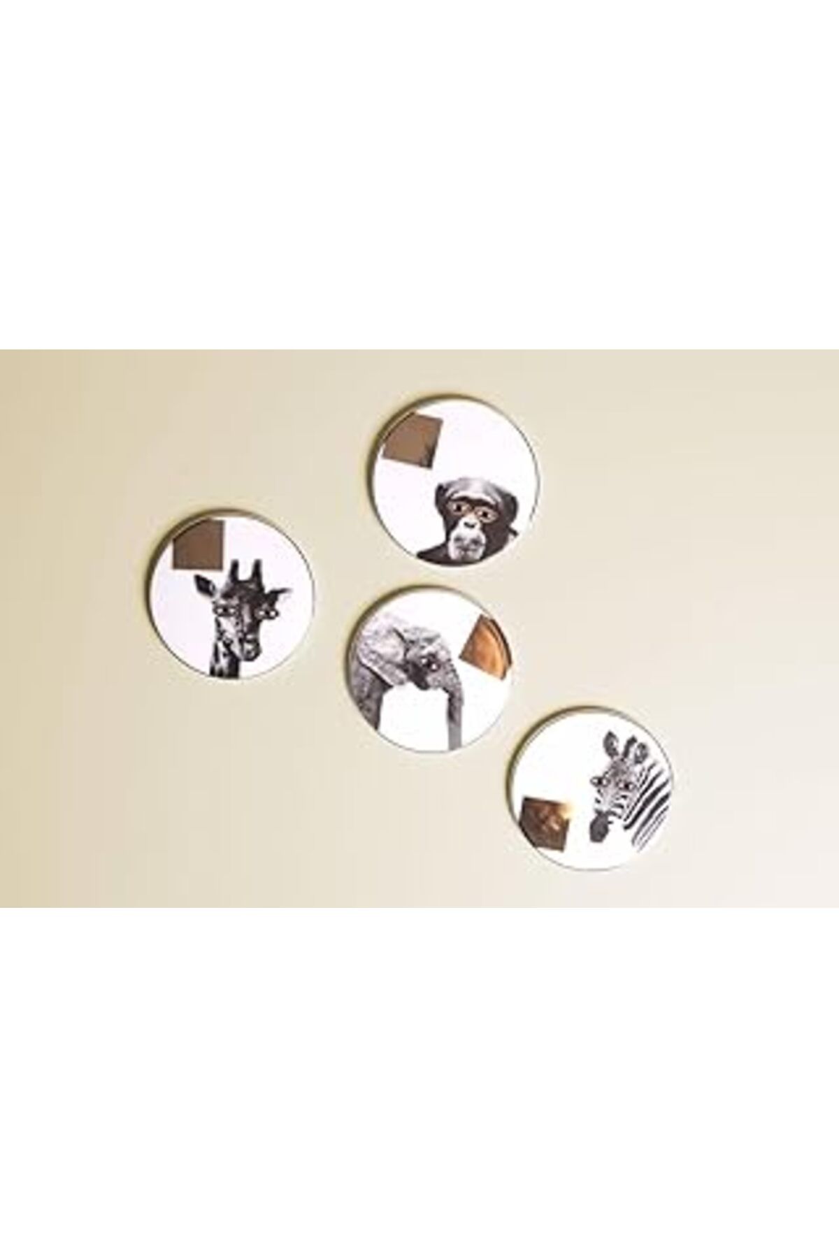 Mu Art Porland Wild Life 4Lü Bardak Altlığı 10Cm