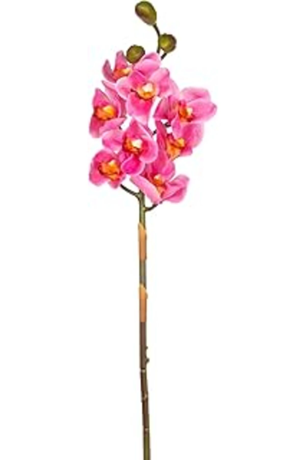 DENİZBİLİŞİM Herdekora Yapay Orkide Gerçek Dokulu Pembe 75 Cm.