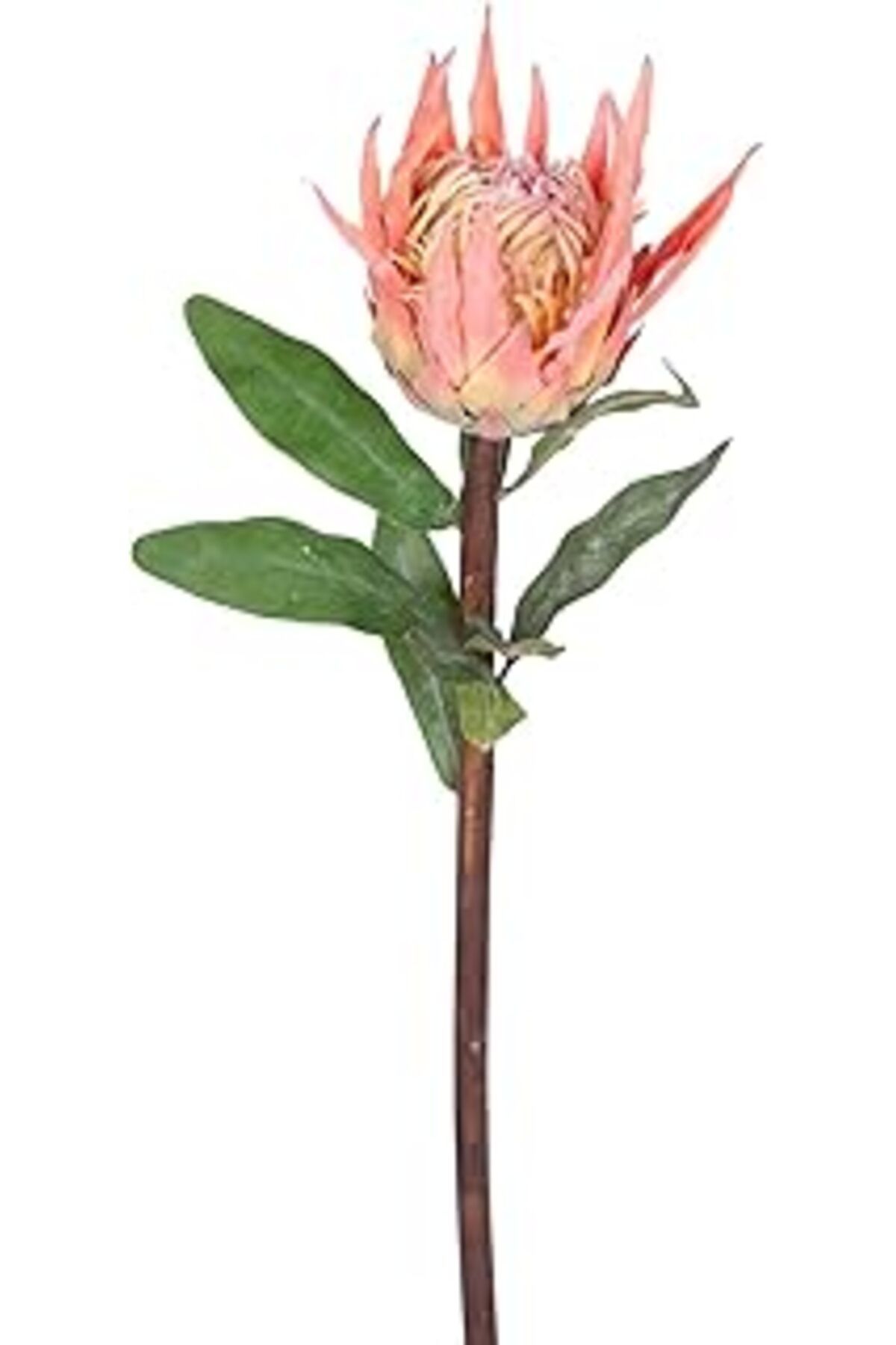 Pazarcan Yapay Protea Çiçeği Turuncu 60 Cm.