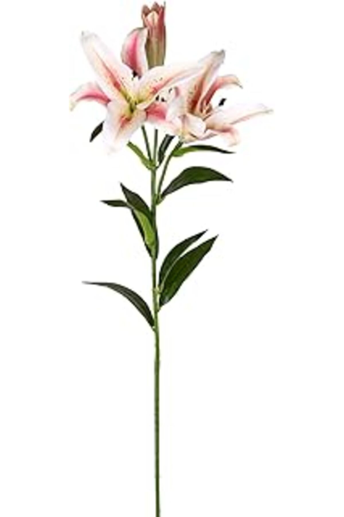 Roses Store Herdekora Yapay Çiçek Zambak Fuşya-Krem 85 Cm.