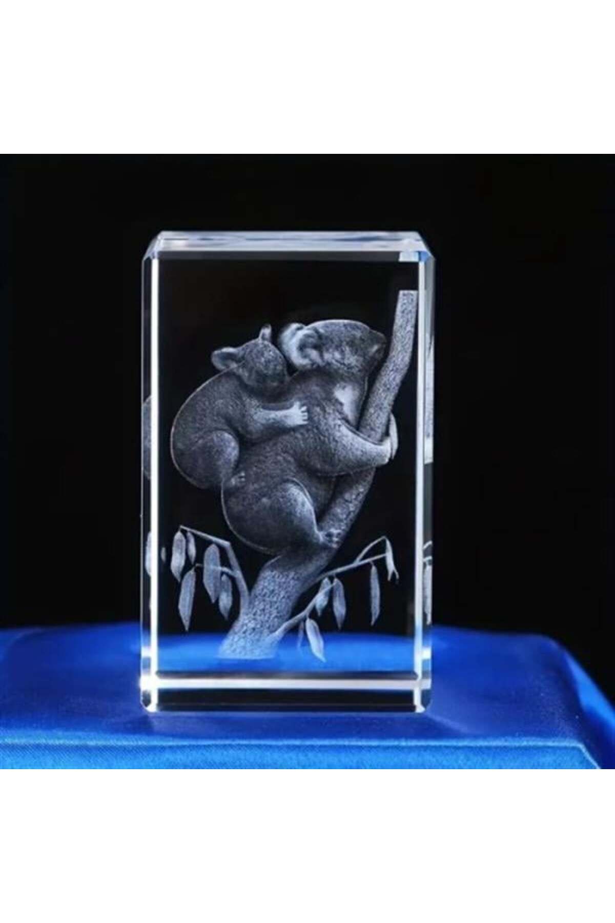 feifei 3D Kristal Koala Modeli