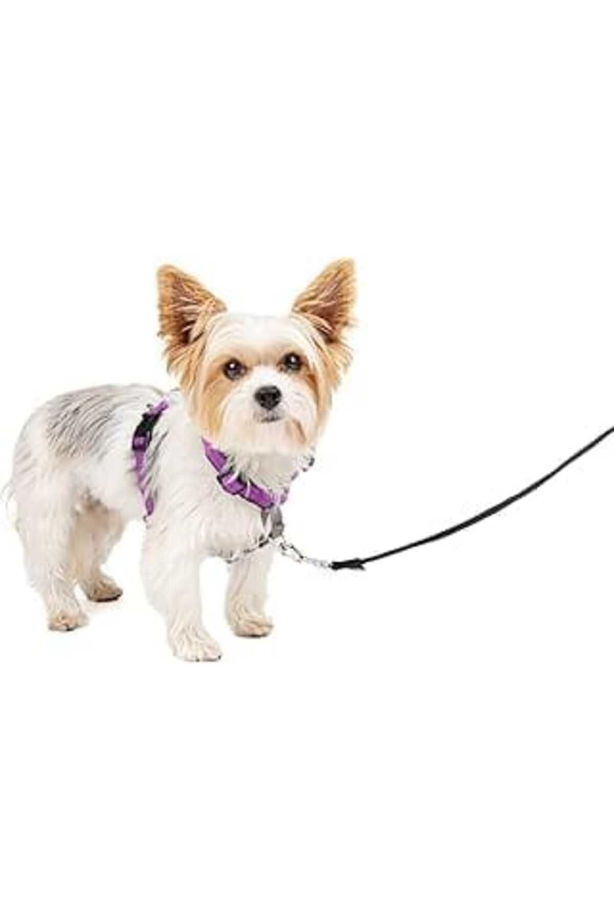 Mu Art Ahşap Petsafe 3'ü 1 Arada Köpek Koşum Takımı, Çekilmez, Araba Kemeri Için Köpek Koşum Takımı, Araba Köpek