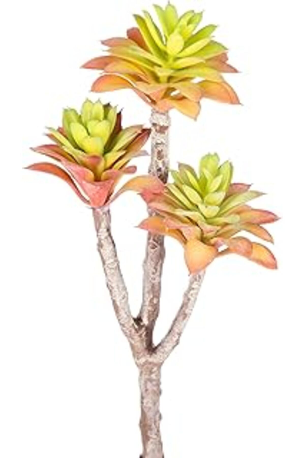 DENİZBİLİŞİM Herdekora Yapay Kaktüs Sukulent Kırmızı/Yeşil 35 Cm