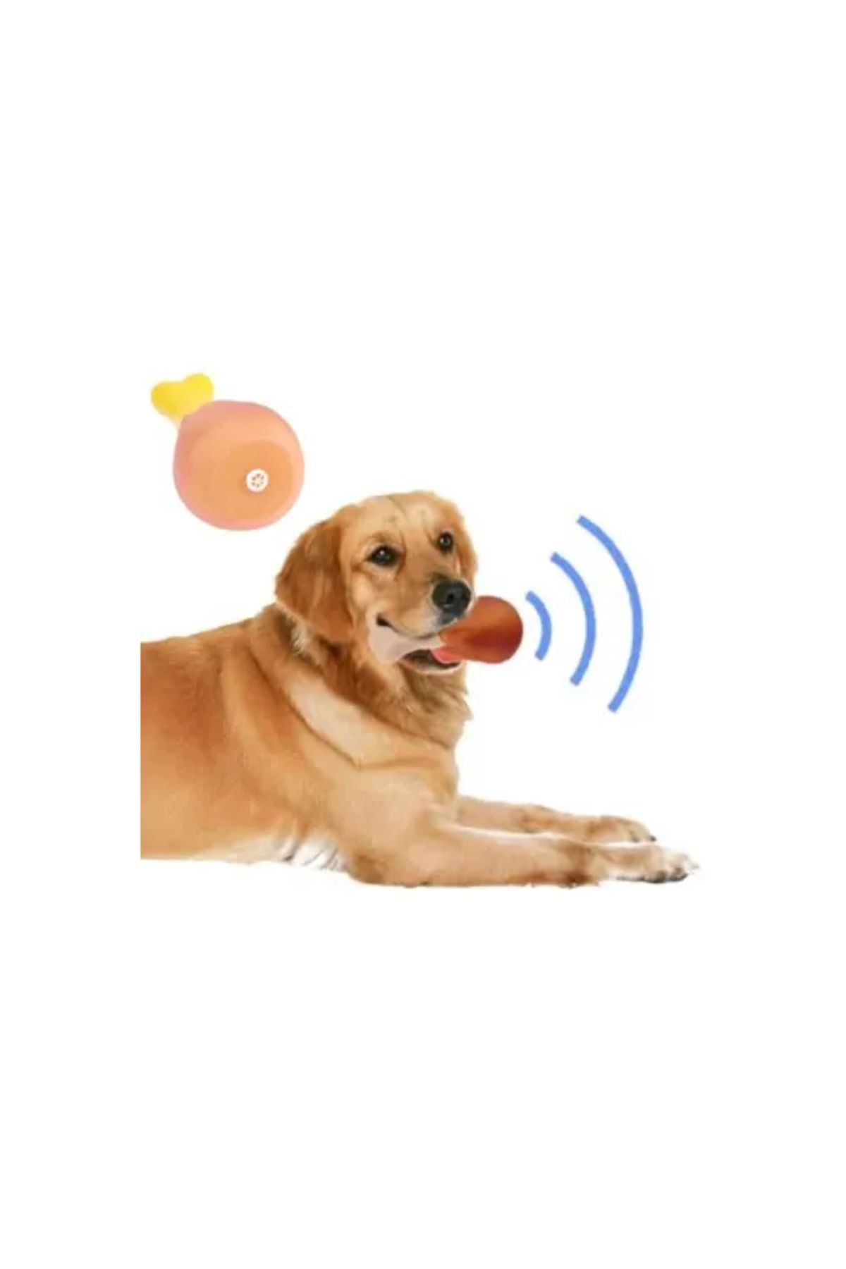Shop58 Köpekler İçin Sesli Oyuncak Tavuk Butu
