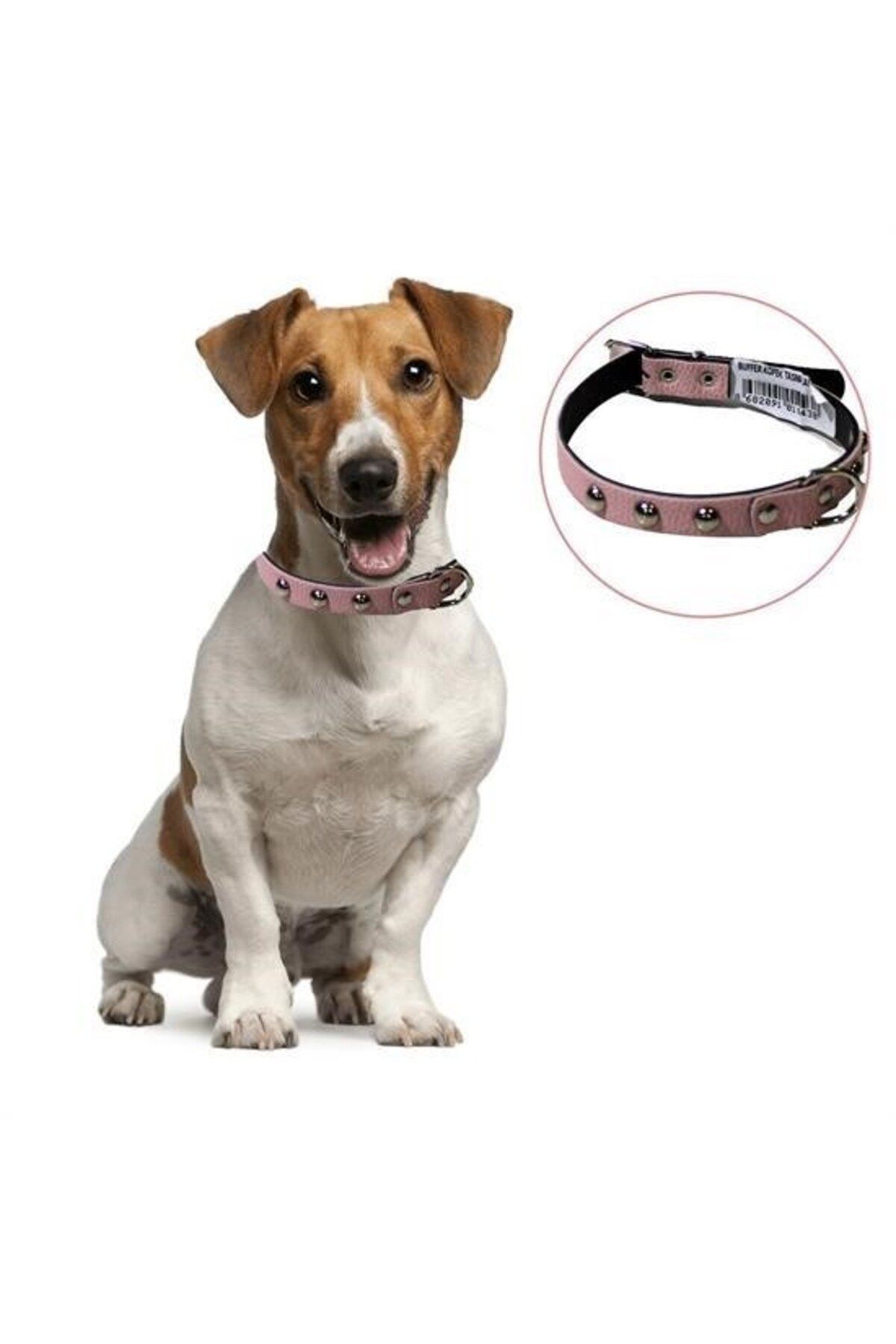 Biomak ® Yumuşak Dokulu Deri Köpek Gezdirme Boyun Tasması Medium