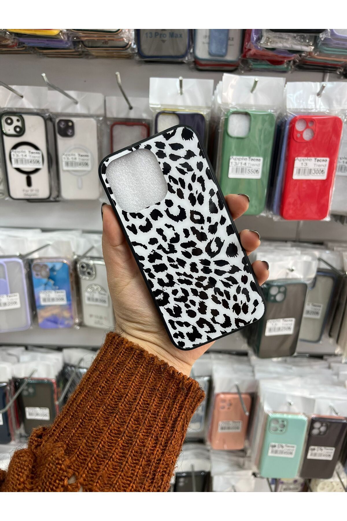 TECNOTREND Apple İphone 13 pro desenli cam sert silikon kılıf