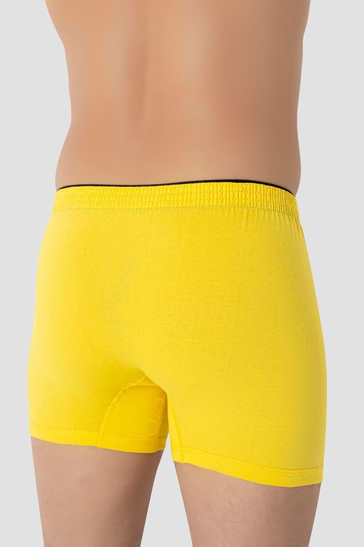 Arma Yıldız-Men's Yellow Boxers - Pack of 3 100% Cotton Combed Cotton 5