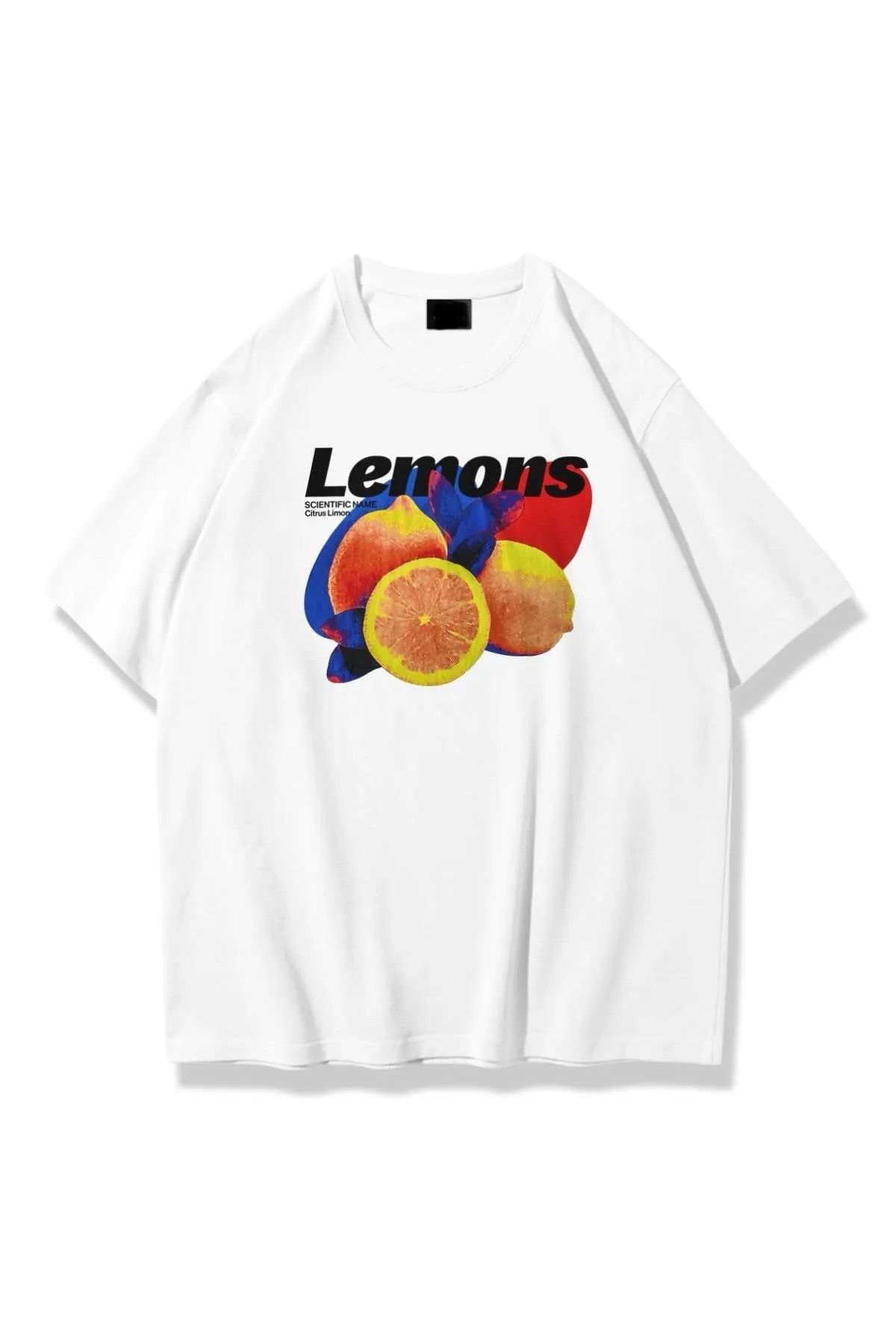 Jose Clothing Oversize Kesim Kısa Kollu Baskılı T-shirt