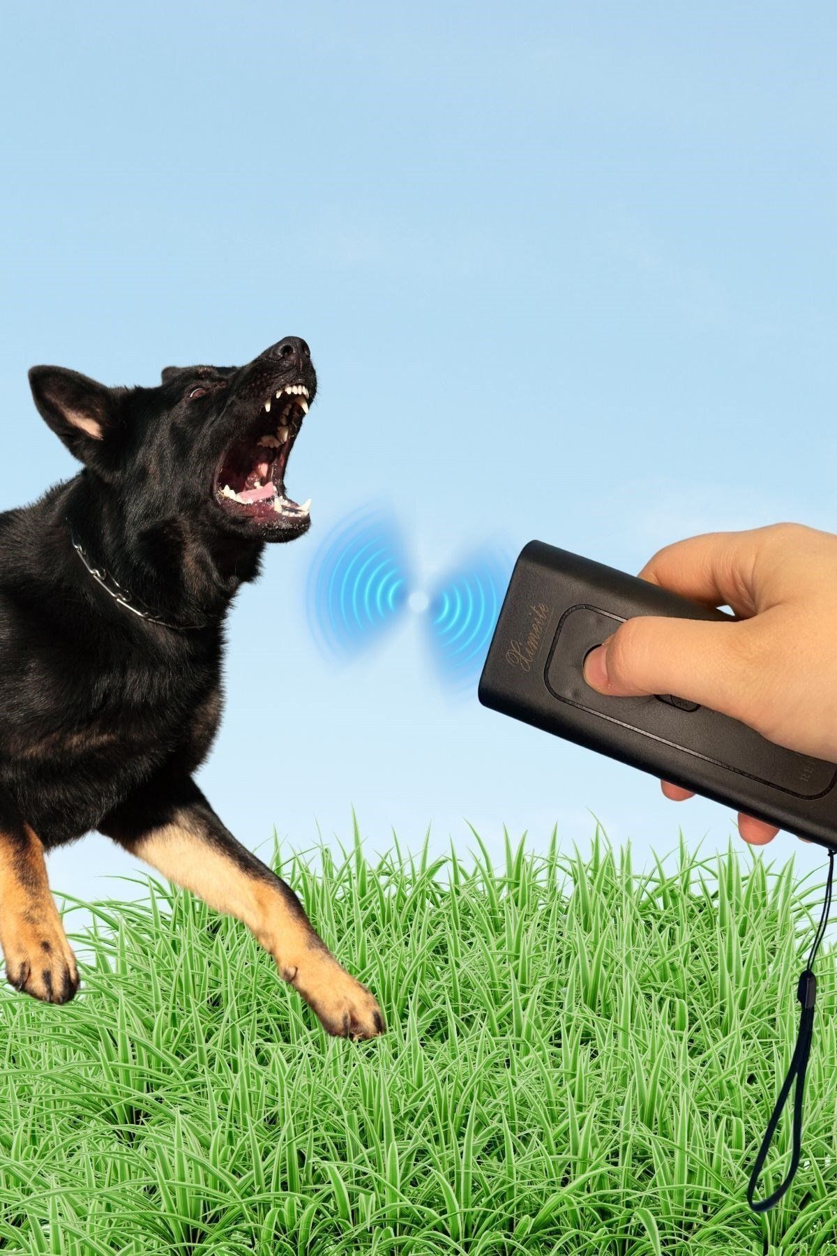 pazarella Ultrasonik Zarar Vermeyen Köpek Uzaklaştırıcı ve Eğitici Cihaz