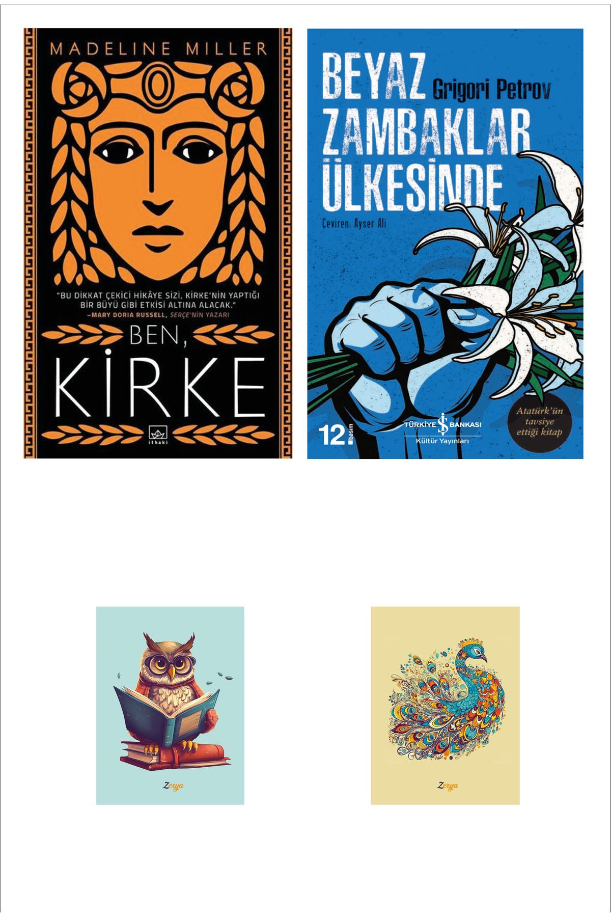 Dara Yayınları Beyaz Zambaklar Ülkesinde Grigory Petrov - Ben Kirke Madeline Miller (2 NOT DEFTERLİ)