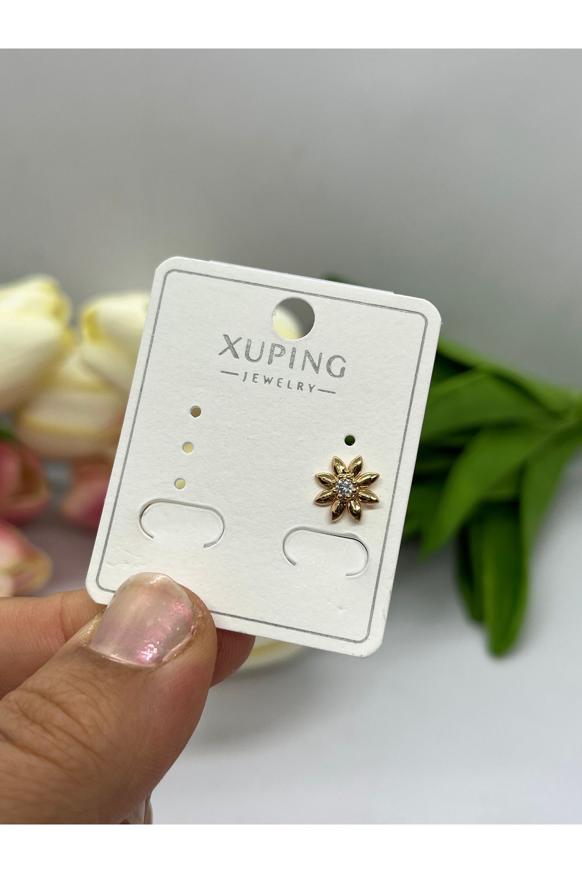 staınless steel TRAGUS KÜPE