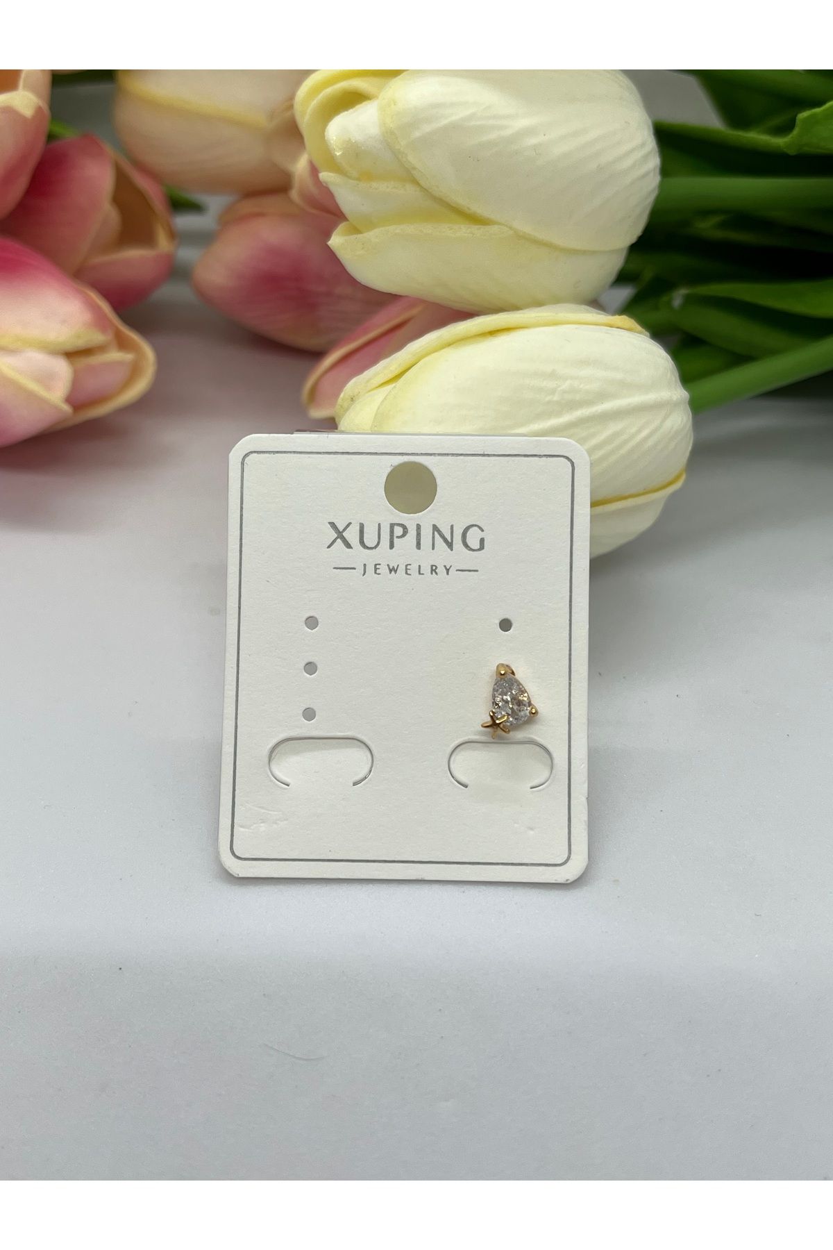 staınless steel TRAGUS KÜPE