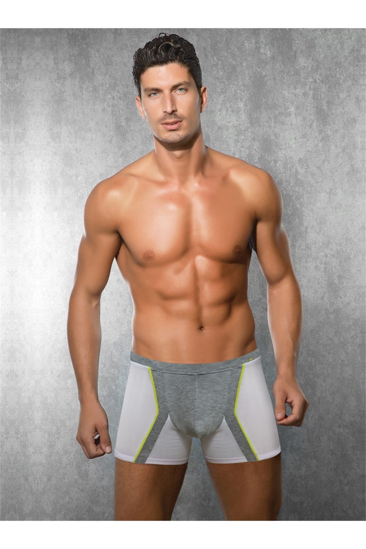 inkasole Elegant Erkek Boxer 1720 Gri
