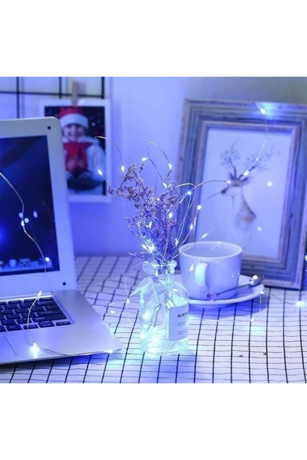 BirdoluSepet Pilli 5 metre Dekoratif Peri Led Beyaz Aydınlatma Süsleme Lambası