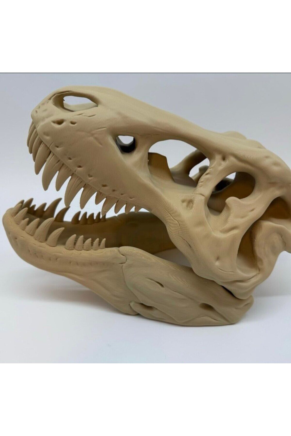 Maker Fabrika T-Rex Kafatası