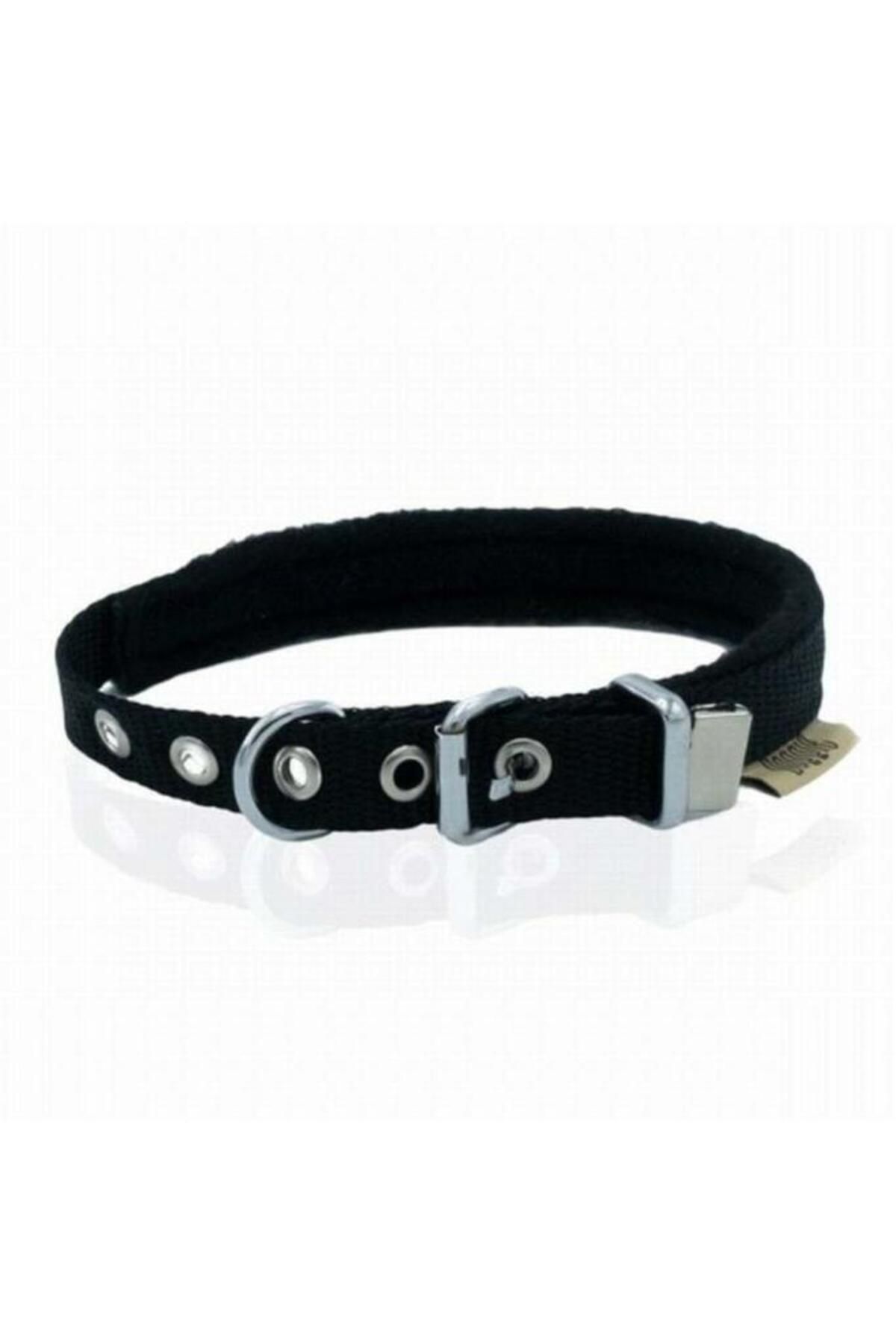 Doggie Polar Pedli Sade Dokuma Köpek Boyun Tasması Siyah 1,5x20-25 Cm