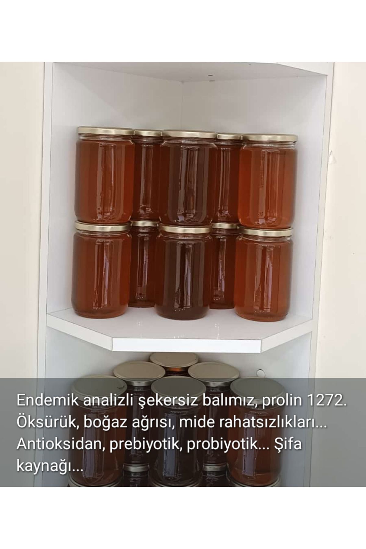 SELEGE Kars Yöresel Endemik Balı 0,5 Kg