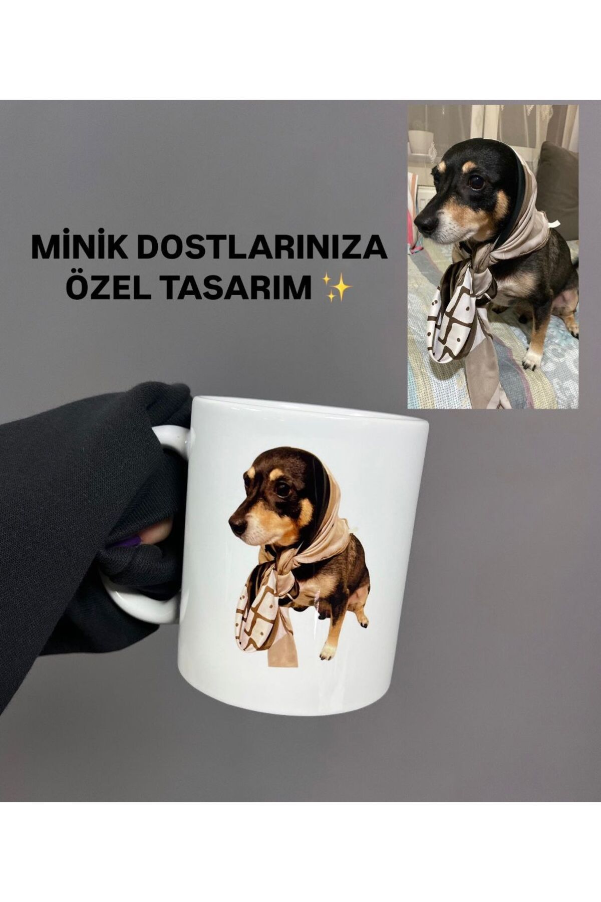 AY AN STUDYO Evcil Hayvan Fotoğraf Baskılı Kupa