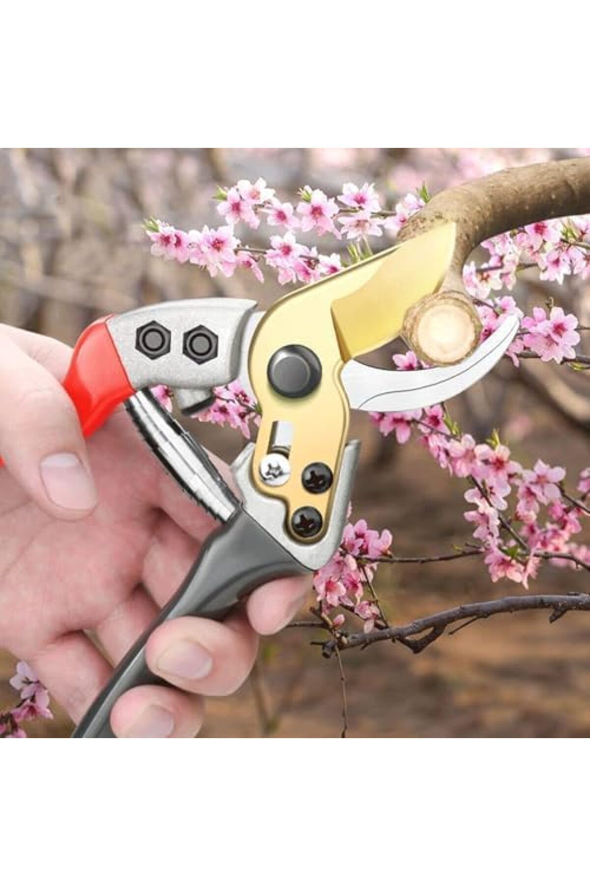 Goishtrie-Extremely Sharp Fruit Branch Scissors, Rust Resistant, SK5 Steel Blade with Non-Slip Handle and Heav 7