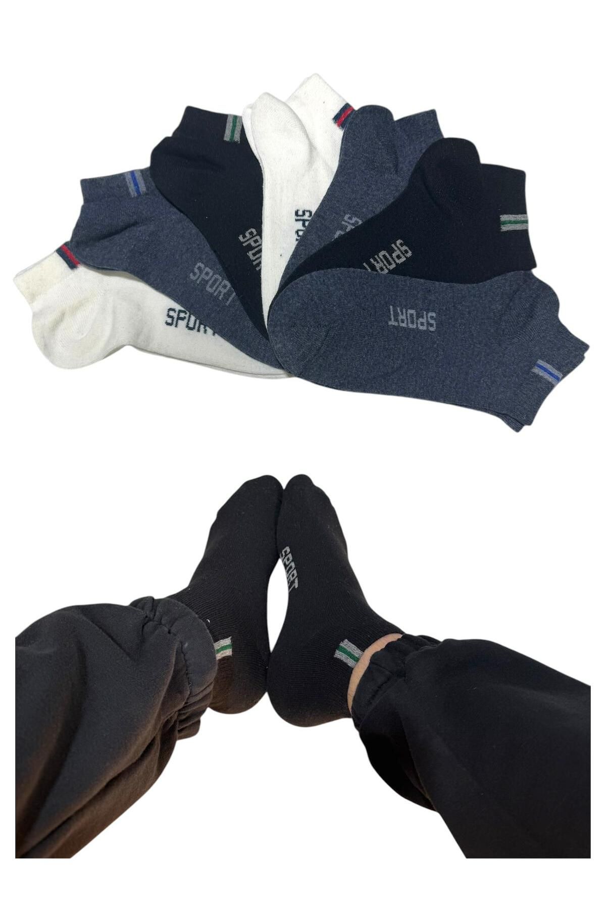 BYNDRSOCKS 7 Çift Erkek Patik Pamuklu Çorap