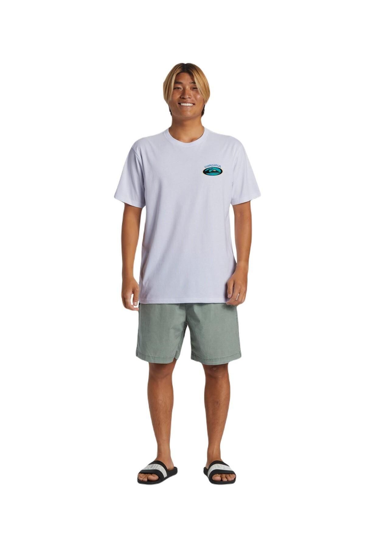 Quiksilver AQYZT09541 Stay Peaceful Moe Erkek Tişört