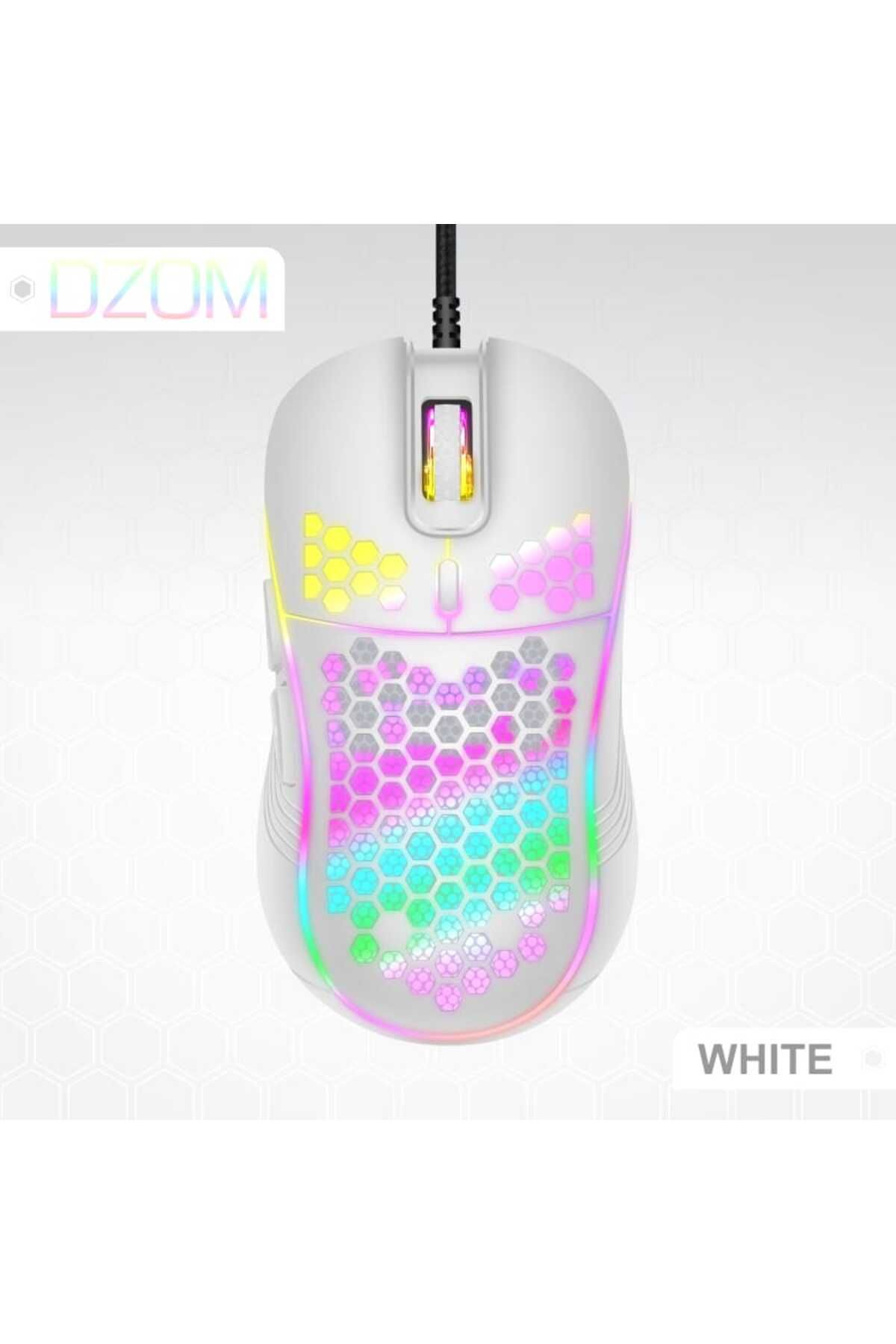 Datazone-DZOM-GW 4