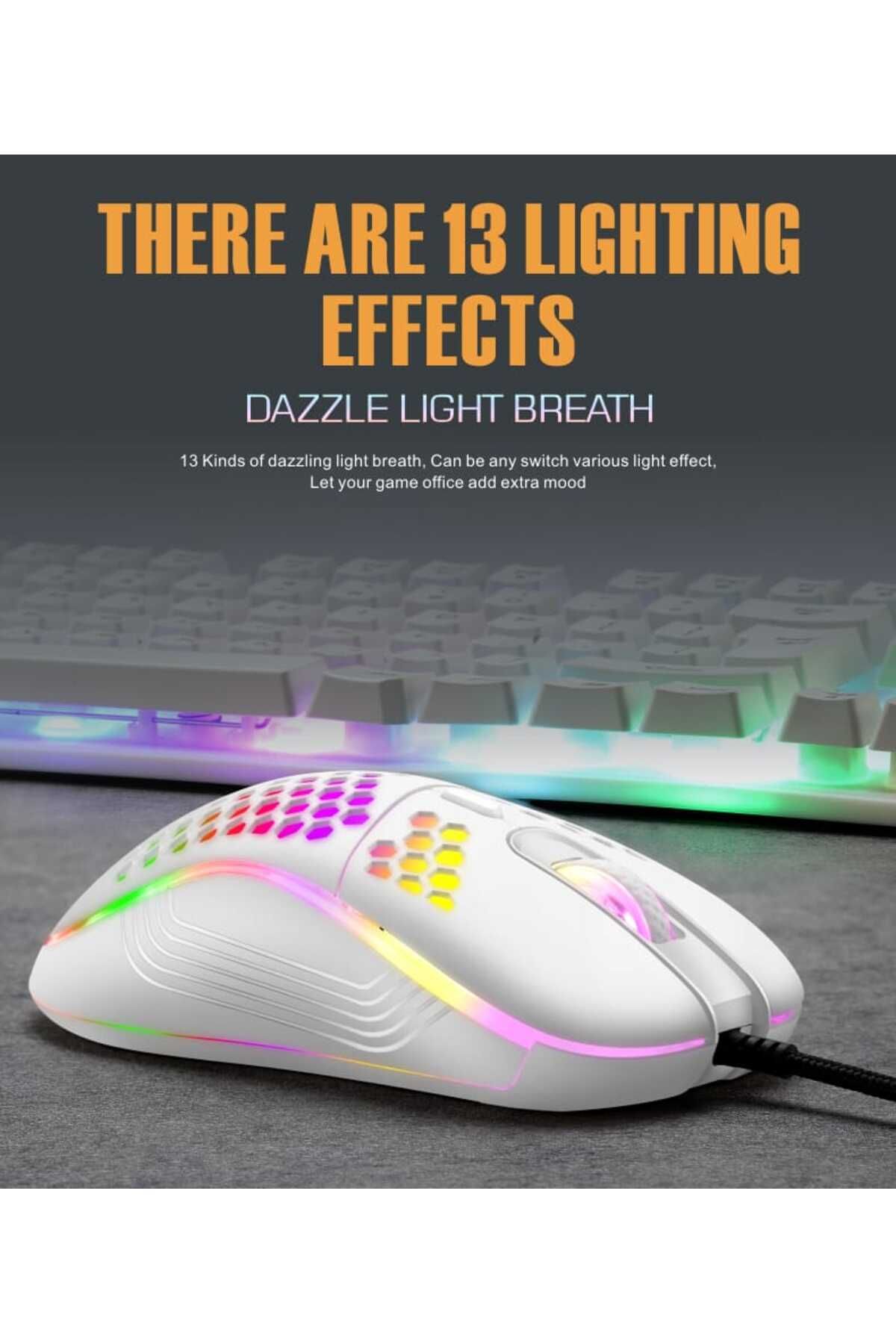 Datazone-DZOM-GW 6