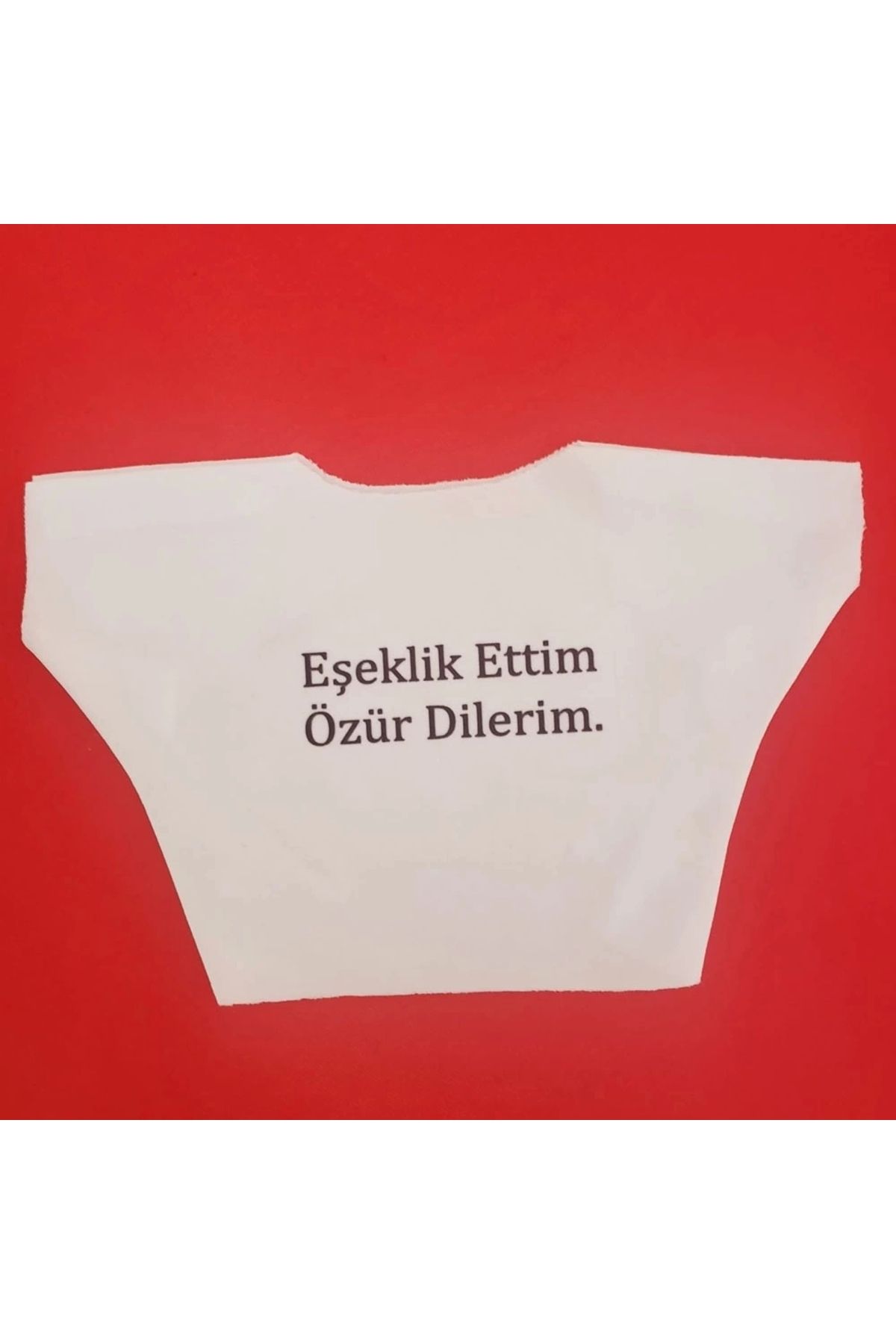 YNT İthalat Eşeklik Ettim Yazılı Oyuncak Tişörtü