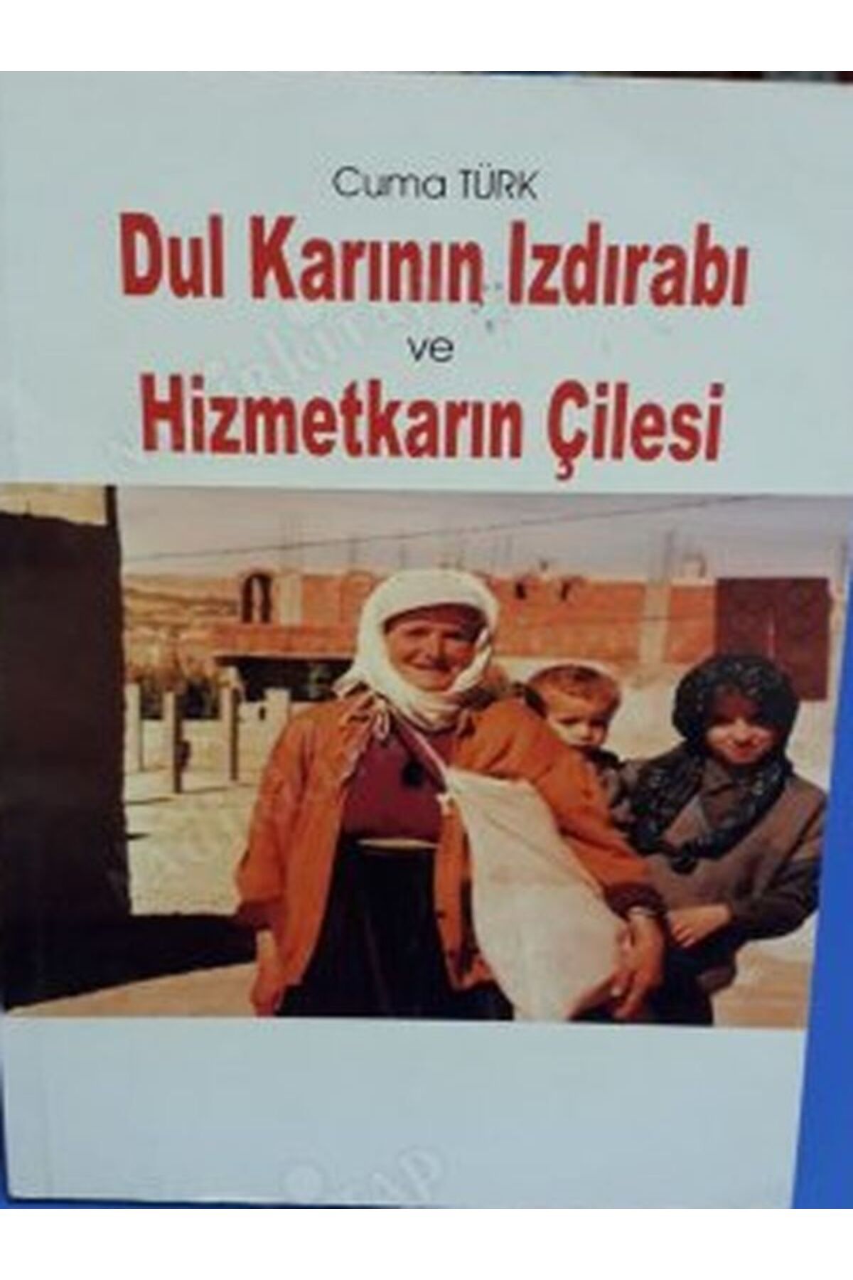 Tudem Yayınları DUL KARININ IZDIRABI VE HİZMETKARIN ÇİLESİ Can Yayınları (Ali Adil Atalay) Cuma TÜRK
