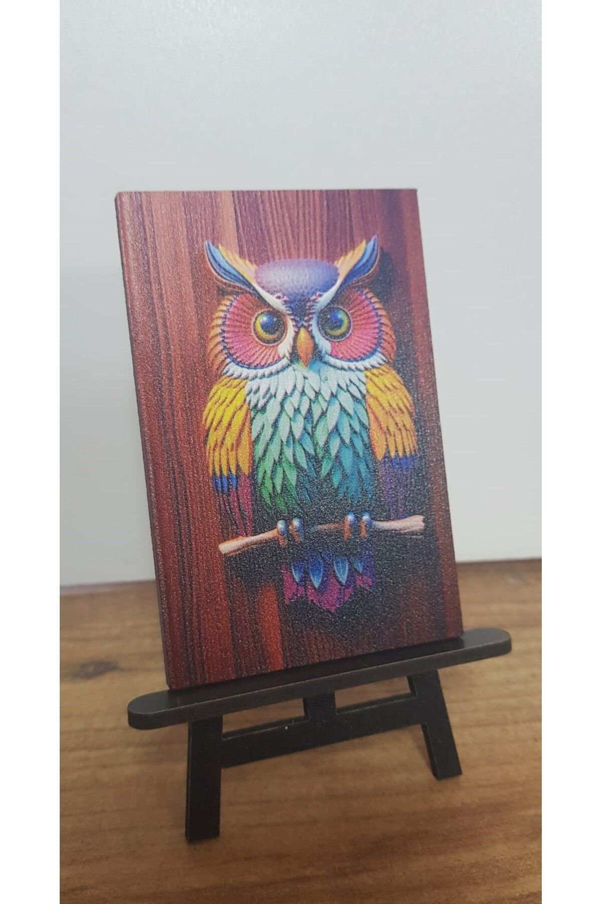 Altınuç Art Design 2 Adet Baykuş Mini Tablo