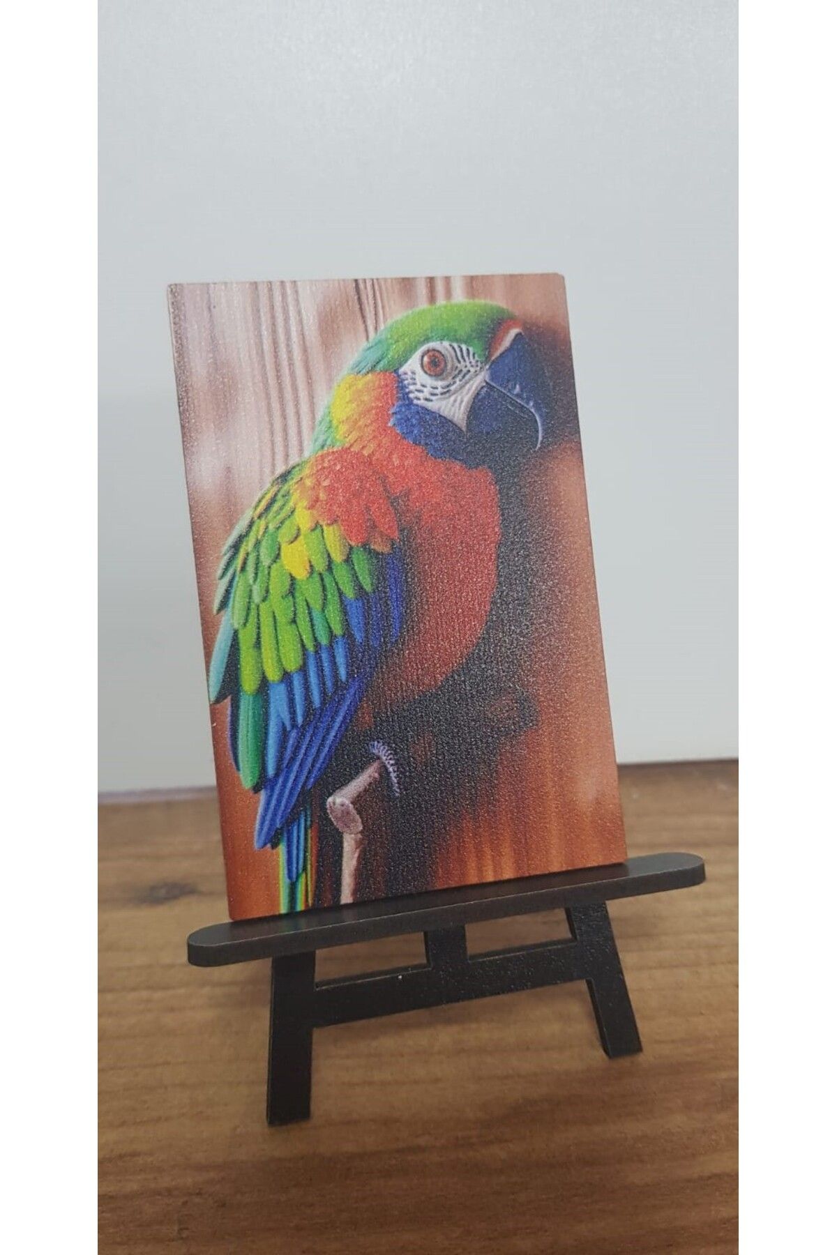 Altınuç Art Design 2 Adet Papağan v2 Mini Tablo