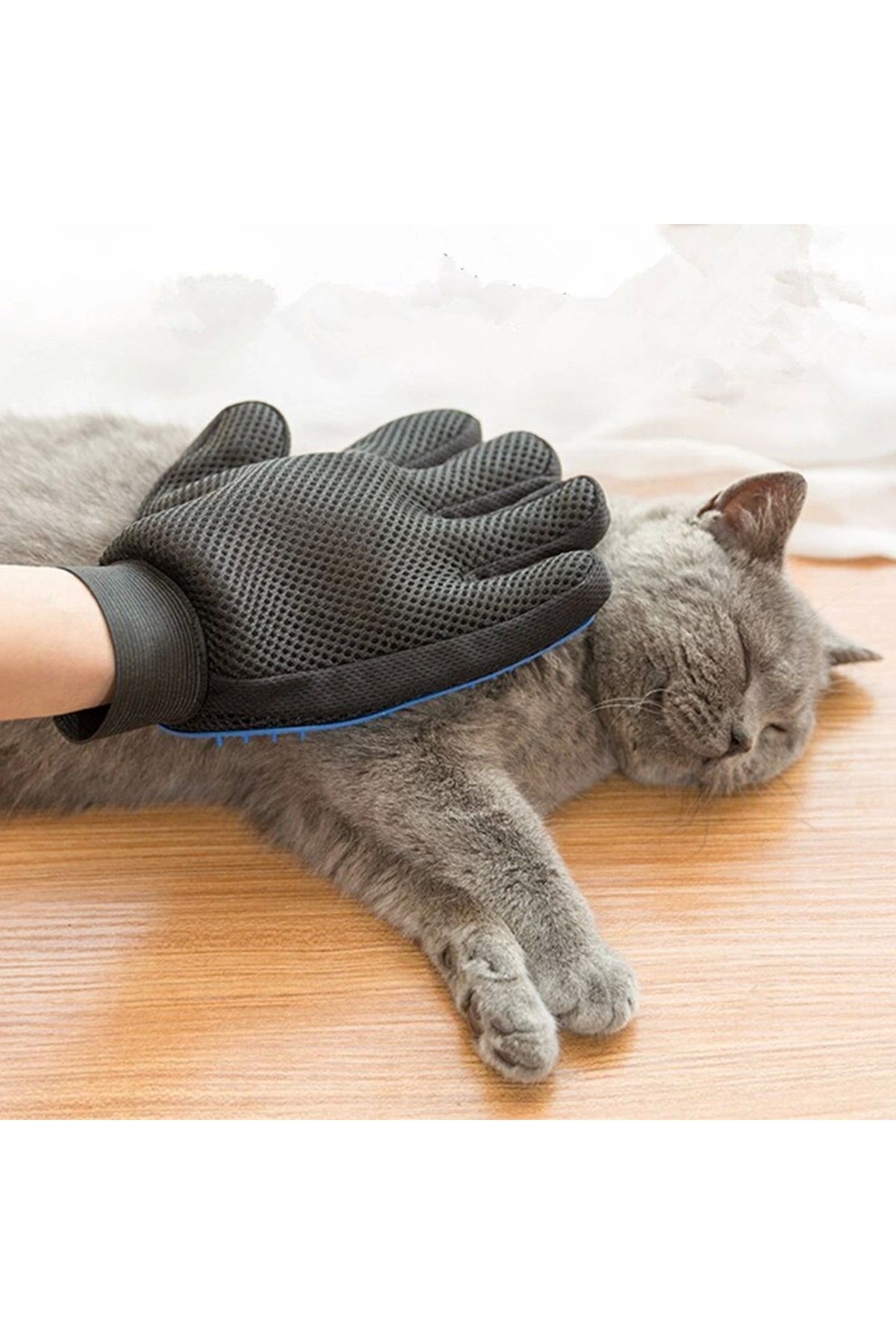 STOREMAX Tüy Toplayan Kedi Temizleme Eldiveni Kedi Tüy Toplama Eldiveni (5047)
