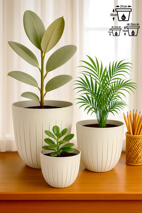 ToXA 3lü Çizgi Saksı Seti Plastik Delikli Tabaklı Çiçek Saksısı Set