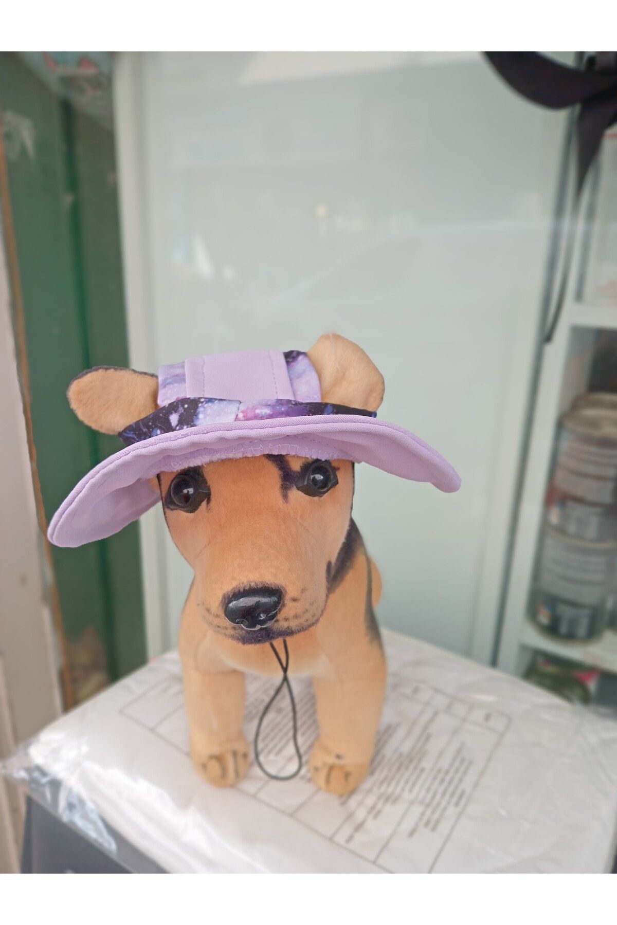 Pro Chem Kedi ,küçük ve orta ırk köpek için L beden şapka