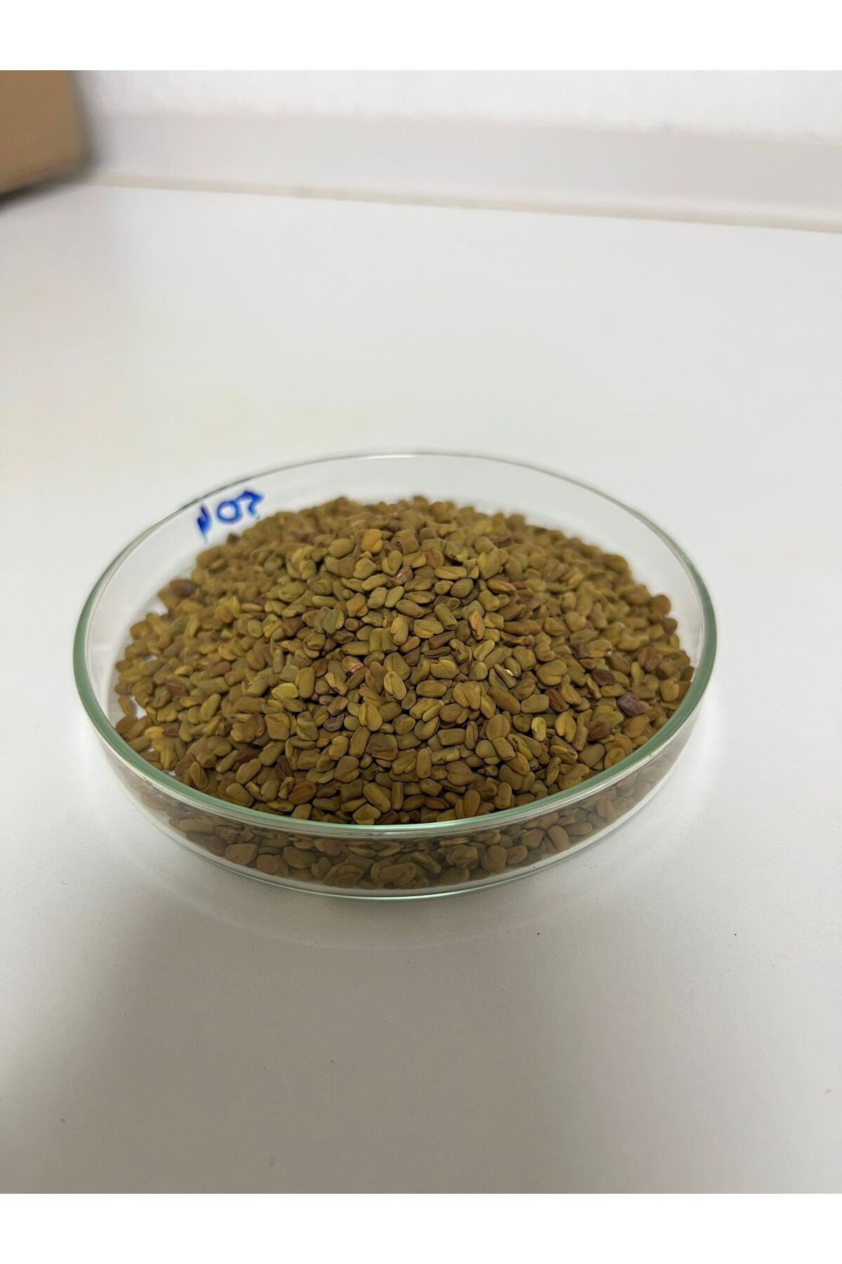 Nova ÇEMEN TOHUMU -100GR