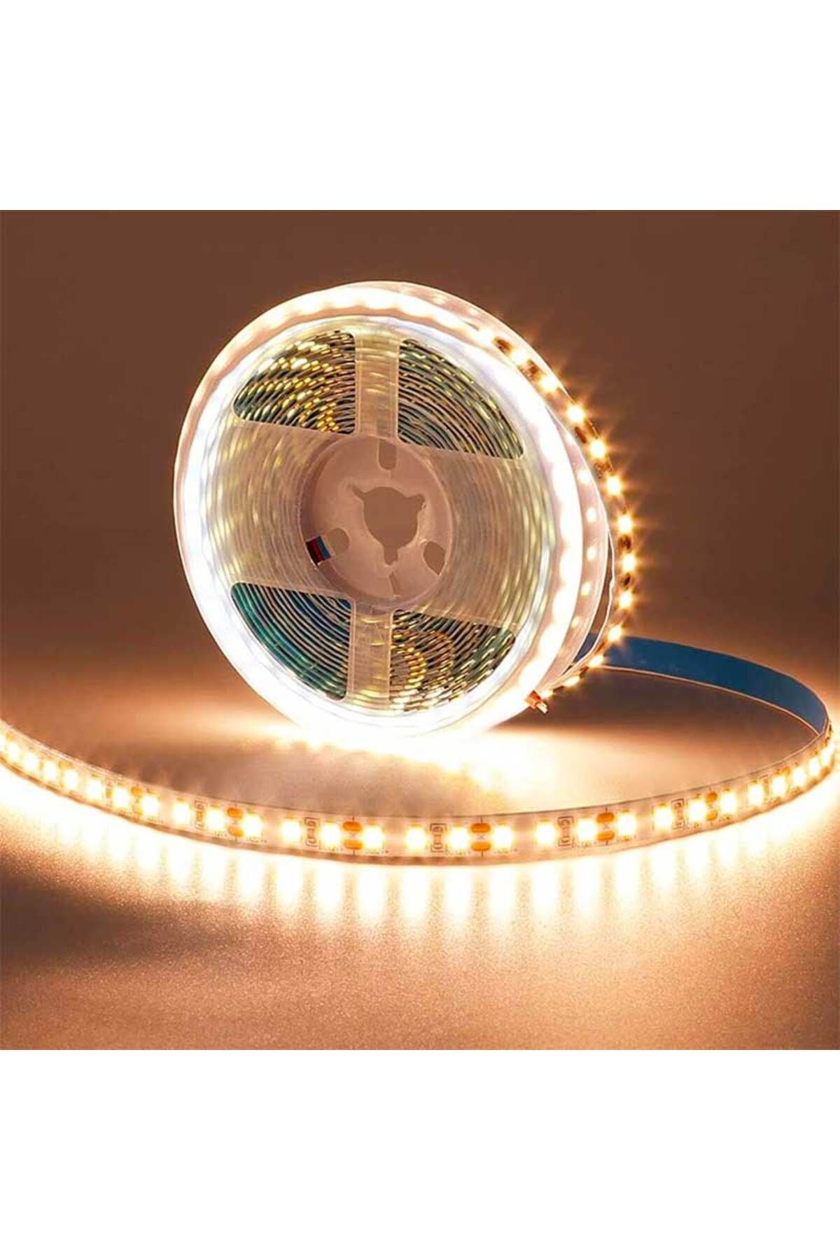 CLASSLIGHTS-Bandă LED SMD5050 - 120 LED/m, iluminare alb cald, exterior IP65 - rolă de 5 metri, ElectroAZ 2