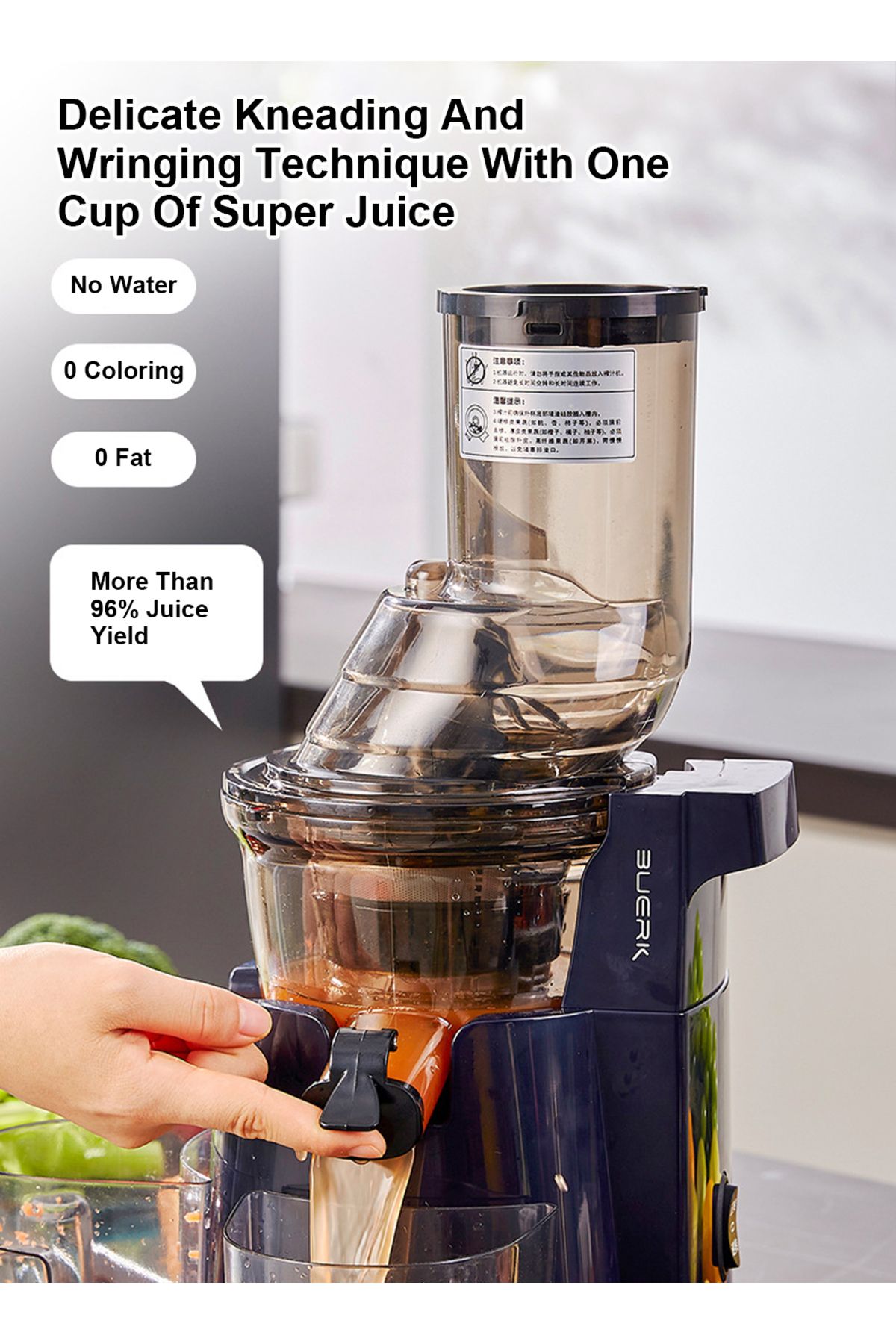 FlashHawk-Slow Masticating Juicer, Slow juicer, Fruit/Vegetable Juicer, Cold Press Juicer with High Output 6