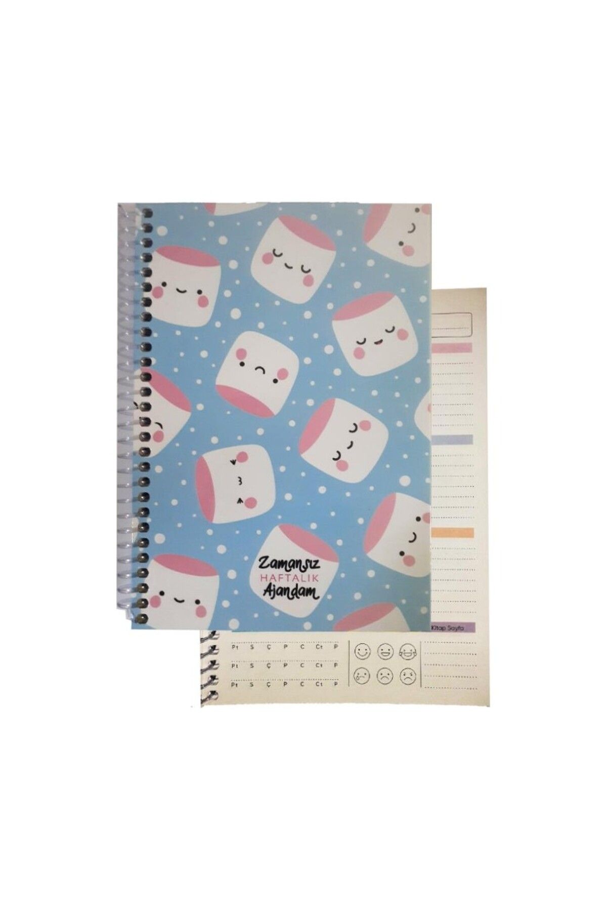 mcolor ZAMANSIZ AJANDA SPİRALLİ SERT KAPAK HAFTALIK DEFTER 17x24