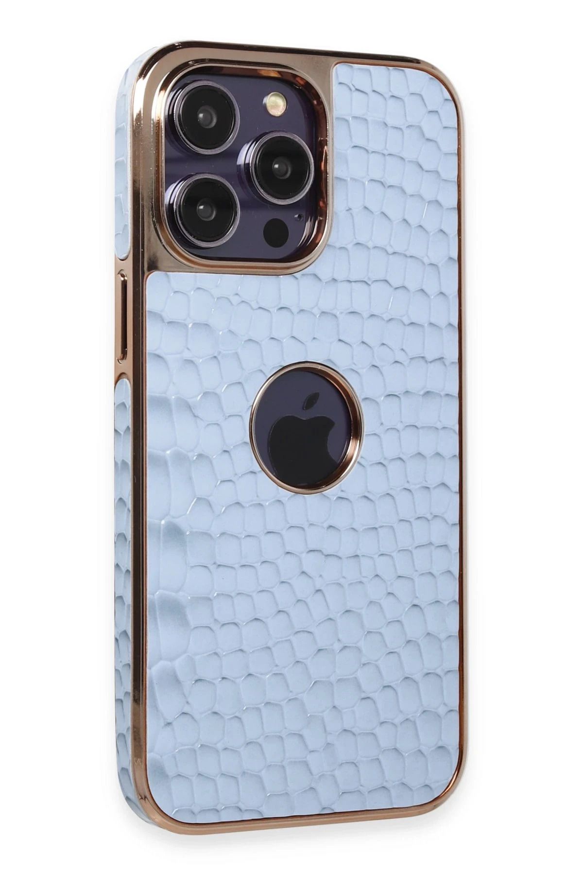 NewFace iPhone 13 Pro Max Kılıf Snake Kapak - Sierra Blue NRMSA
